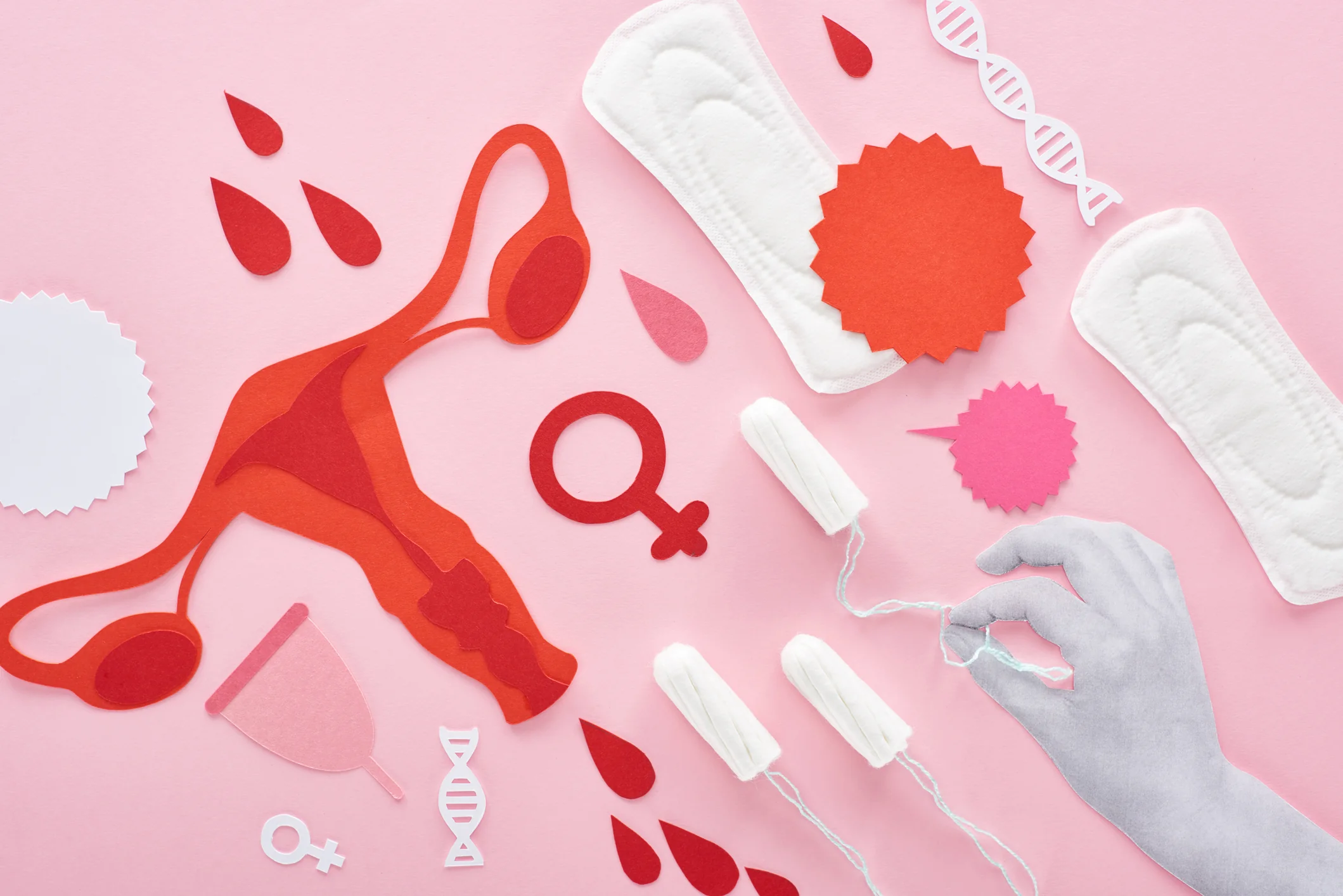 Demystifying Menstruation Understanding The Biology Behind Your Period